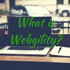 What-is-Webgility