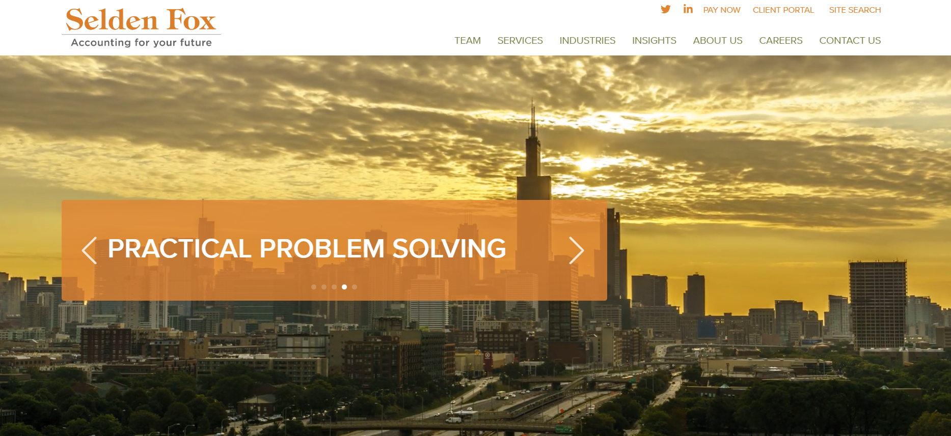 Seldenfox Homepage