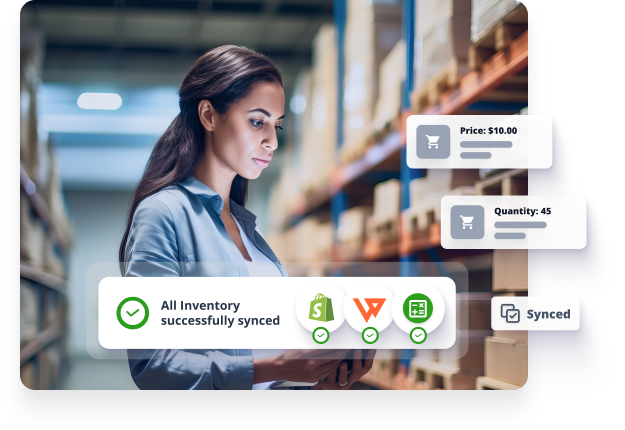 WEBGILITY SHOPIFY visual data 5