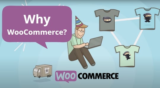 why WooCommerce video thumbnail
