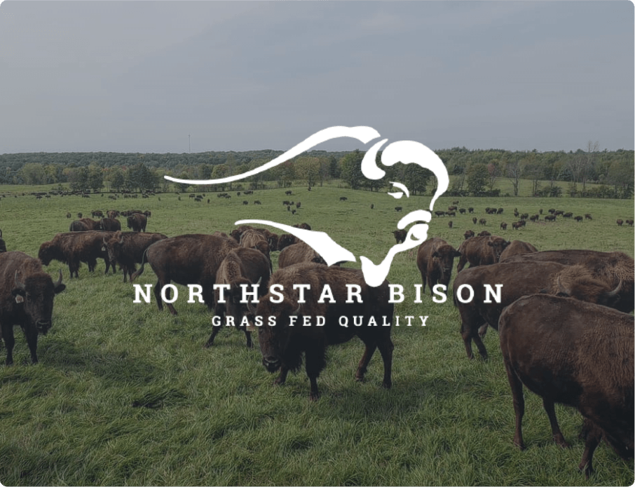 NorthStar Bison