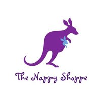 Webgility case study: The Nappy Shoppe